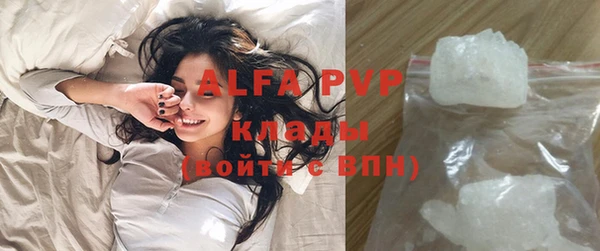 стафф Осинники