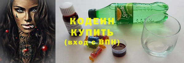 стафф Осинники