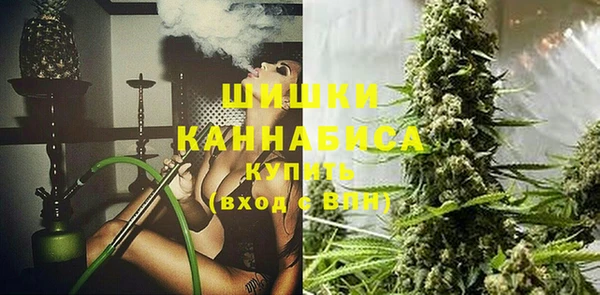 стафф Осинники