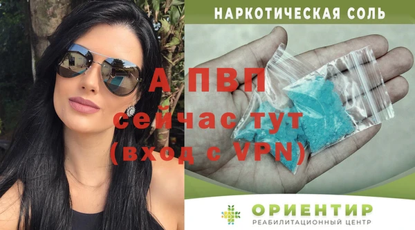 стафф Осинники