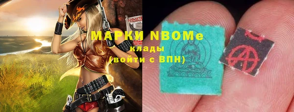 стафф Осинники