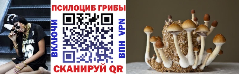 Галлюциногенные грибы GOLDEN TEACHER  закладки  Красноярск 
