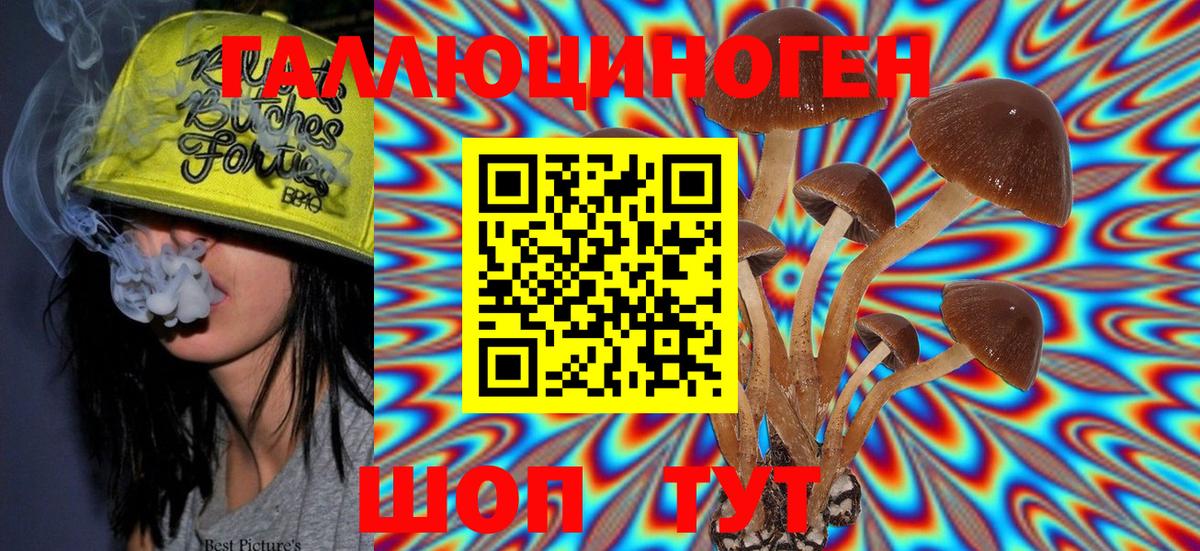 Галлюциногенные грибы Psilocybine cubensis  купить   Галлюциногенные грибы Psilocybe  Красноярск 