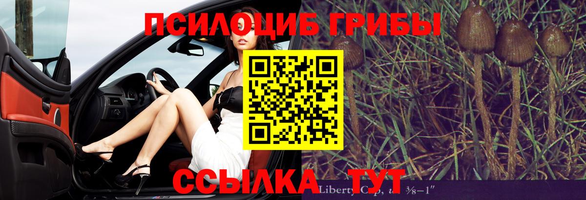 Псилоцибиновые грибы прущие грибы Красноярск