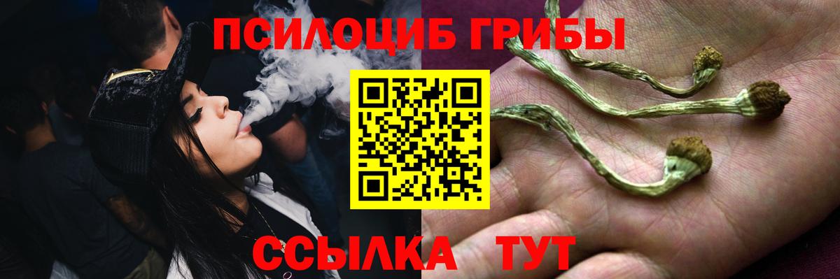 Красноярск  Псилоцибиновые грибы Psilocybe  Вход с VPN  Псилоцибиновые грибы Cubensis 