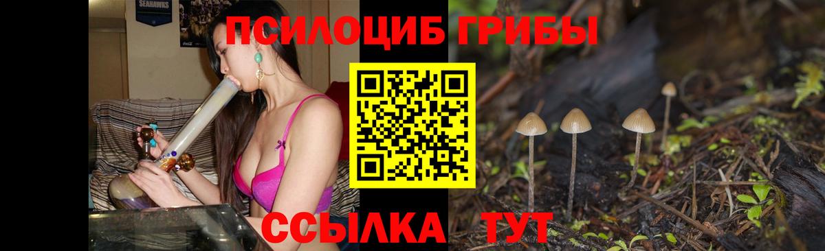 Псилоцибиновые грибы Magic Shrooms Красноярск